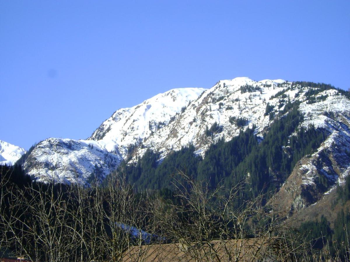 Ferienwohnung Fred Hollersbach im Pinzgau Εξωτερικό φωτογραφία